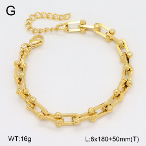 2B2005063bvpl-452  Stainless Steel Bracelet