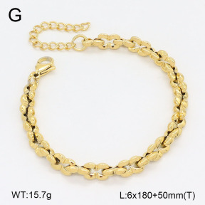 2B2005066ahjb-452  Stainless Steel Bracelet