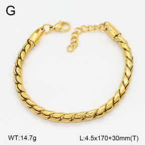 2B2005084vbpb-452  Stainless Steel Bracelet