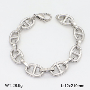 2B2005110vhha-452  Stainless Steel Bracelet