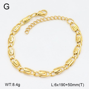 2B2005119vbnb-452  Stainless Steel Bracelet