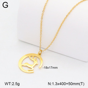 2N2008153avja-749  Stainless Steel Necklace