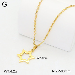 2N2008156avja-749  Stainless Steel Necklace