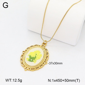 2N3003206bvpl-669  Stainless Steel Necklace