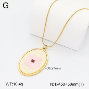 2N3003208bvpl-669  Stainless Steel Necklace