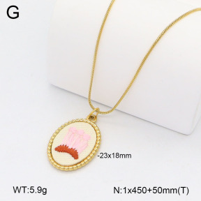 2N3003220abol-669  Stainless Steel Necklace