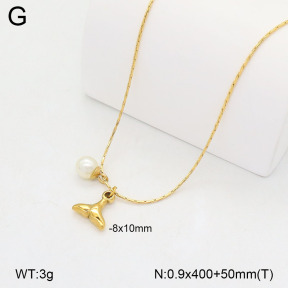 2N3003225aakl-749  Stainless Steel Necklace