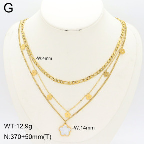 2N3003230bhva-749  Stainless Steel Necklace