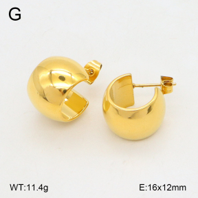 2E2006611bbov-742  Stainless Steel Earrings