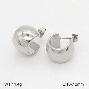 2E2006612bbml-742  Stainless Steel Earrings