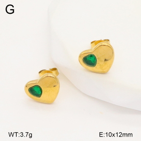 2E4004875vbnb-393  Stainless Steel Earrings