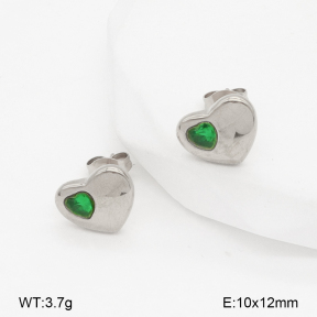 2E4004876bbov-393  Stainless Steel Earrings
