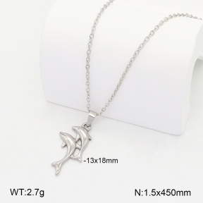 2N2008049aajl-742  Stainless Steel Necklace