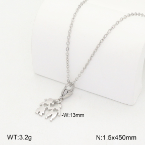 2N2008055aajl-742  Stainless Steel Necklace