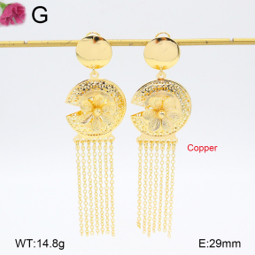 F2E202120bbov-J22  Fashion Copper Earrings