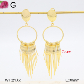 F2E202124bbov-J22  Fashion Copper Earrings