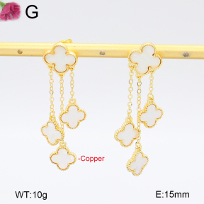 F2E301079vhha-J22  Fashion Copper Earrings