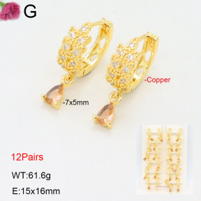 F2E402183amaa-J22  Fashion Copper Earrings