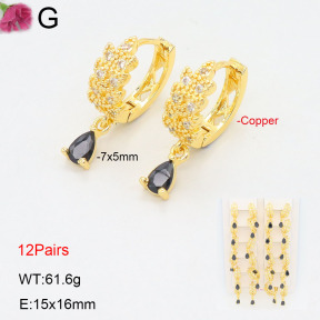 F2E402186amaa-J22  Fashion Copper Earrings
