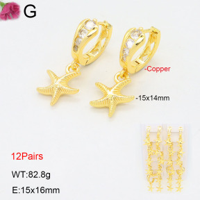 F2E402193amaa-J22  Fashion Copper Earrings