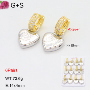 F2E402205ajvb-J22  Fashion Copper Earrings