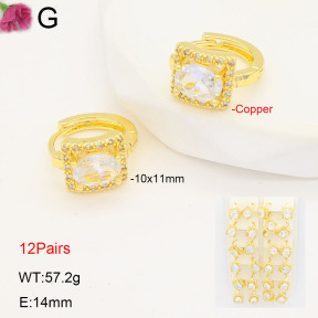 F2E402209amaa-J22  Fashion Copper Earrings