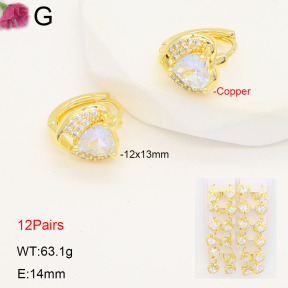 F2E402210amaa-J22  Fashion Copper Earrings