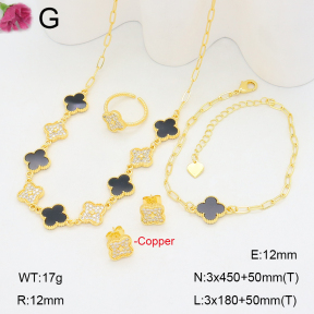 F2S006572ahpv-J22  Fashion Copper Sets