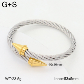 2BA202398vbnb-349  Stainless Steel Bangle