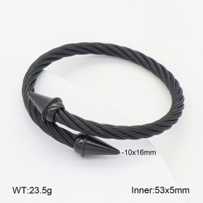 2BA202399vbpb-349  Stainless Steel Bangle