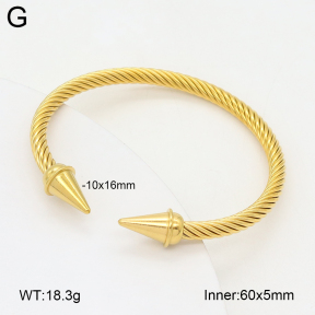 2BA202400vbpb-349  Stainless Steel Bangle