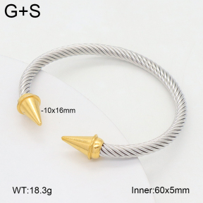 2BA202401vbnb-349  Stainless Steel Bangle