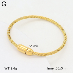 2BA202402vbpb-349  Stainless Steel Bangle