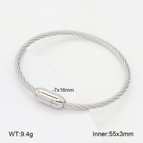 2BA202403vbnb-349  Stainless Steel Bangle
