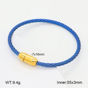 2BA202404vbpb-349  Stainless Steel Bangle