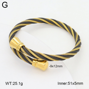 2BA202406vbpb-349  Stainless Steel Bangle