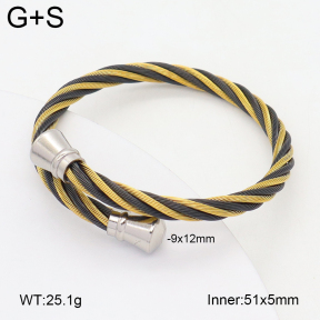 2BA202407bbov-349  Stainless Steel Bangle