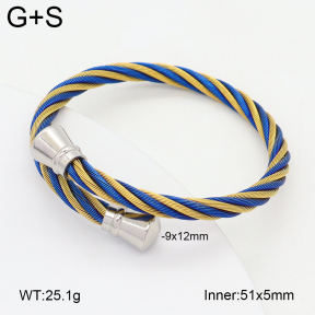 2BA202408bbov-349  Stainless Steel Bangle