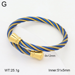 2BA202409vbpb-349  Stainless Steel Bangle