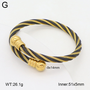 2BA202410vbpb-349  Stainless Steel Bangle