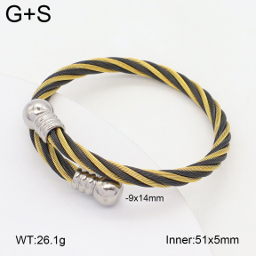 2BA202411bbov-349  Stainless Steel Bangle