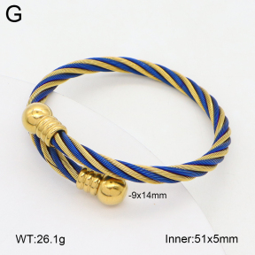 2BA202412vbpb-349  Stainless Steel Bangle