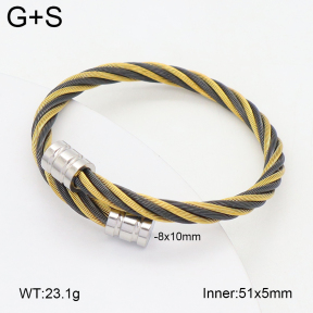 2BA202413bbov-349  Stainless Steel Bangle