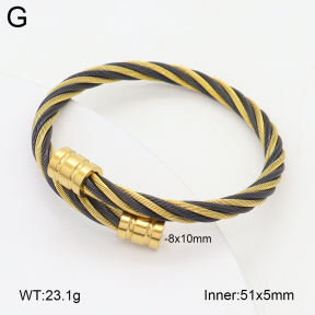 2BA202414vbpb-349  Stainless Steel Bangle