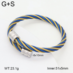 2BA202415bbov-349  Stainless Steel Bangle