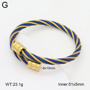 2BA202416vbpb-349  Stainless Steel Bangle