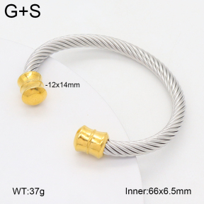 2BA202417bhva-349  Stainless Steel Bangle