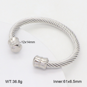 2BA202418vbpb-349  Stainless Steel Bangle