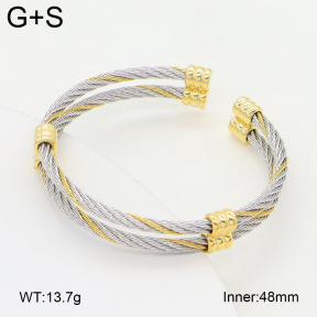 2BA202423vhkb-349  Stainless Steel Bangle