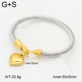 2BA202427vhha-349  Stainless Steel Bangle